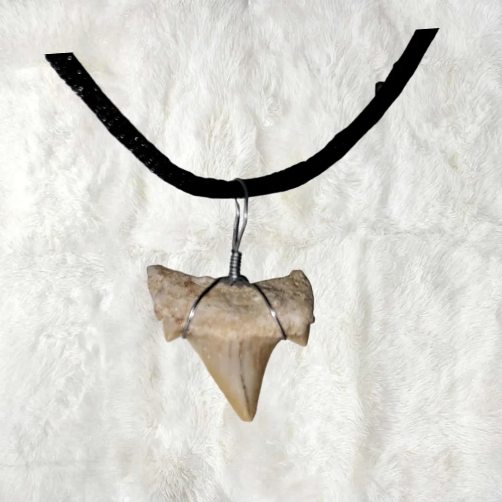 Genuine Fossilized Shark Tooth Pendant w/ Cord Necklace